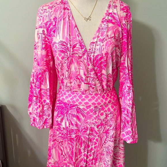 Lilly Pulitzer Dresses & Skirts - GUC knee length dress L Lilly Pulitzer
